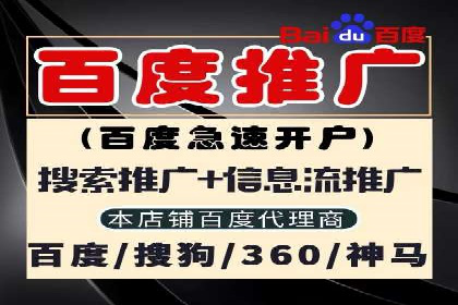 百度竞价排名实战：关键词优化与数据分析案例